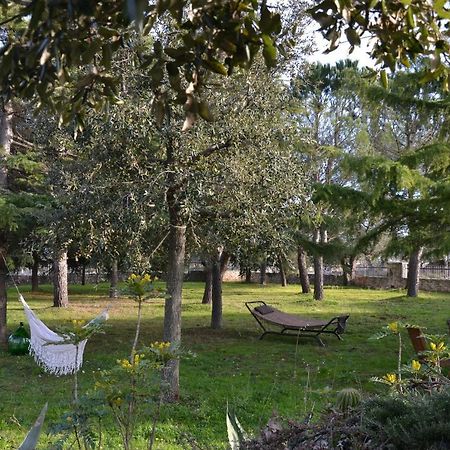 Ulivo Apartment لوكوروتوندو المظهر الخارجي الصورة